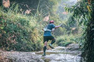 BIB: 
                            <button type="button" onclick="openModal(13717129)" class="btn btn-primary btn-sm float-right btn-popup" data-toggle="modal" data-target=".modal-high-quality">
                        <i class="fas fa-shopping-cart"></i> Add to Cart
                    </button>
                                            <button type="button" onclick="isThisMe(13717129, true)" class="btn btn-success btn-sm float-right btn-popup btn-isme hidden" data-toggle="tooltip" data-placement="bottom" title="นี่คือรูปของคุณใช่ไหม คลิกที่นี่เพื่อเอาเข้าอัลบั้ม">
                        <i class="fas fa-plus"></i> Add to album
                    </button>
                    <button type="button" onclick="isThisMe(13717129, false)" class="btn btn-warning btn-sm float-right btn-popup btn-isnotme hidden">
                        <i class="fas fa-ban"></i> Remove from album
                    </button>